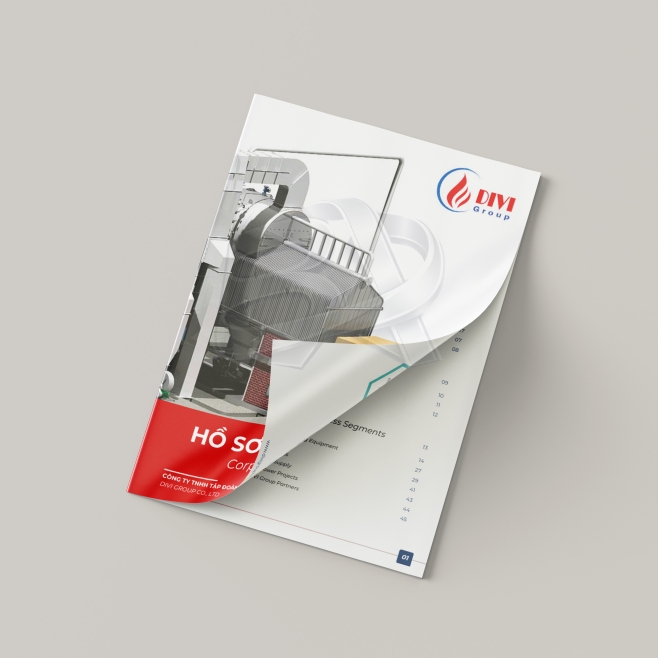 DIVI GROUP