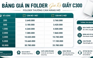 Company Profile, Catalog Design and Folder Printing Services
